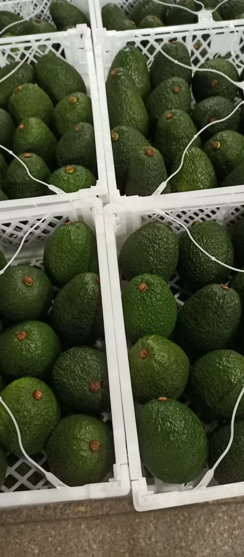 Packed Avocados (2)