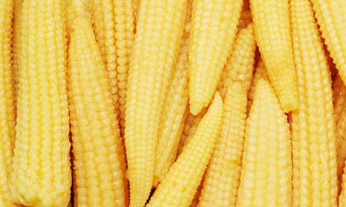 Baby Corn